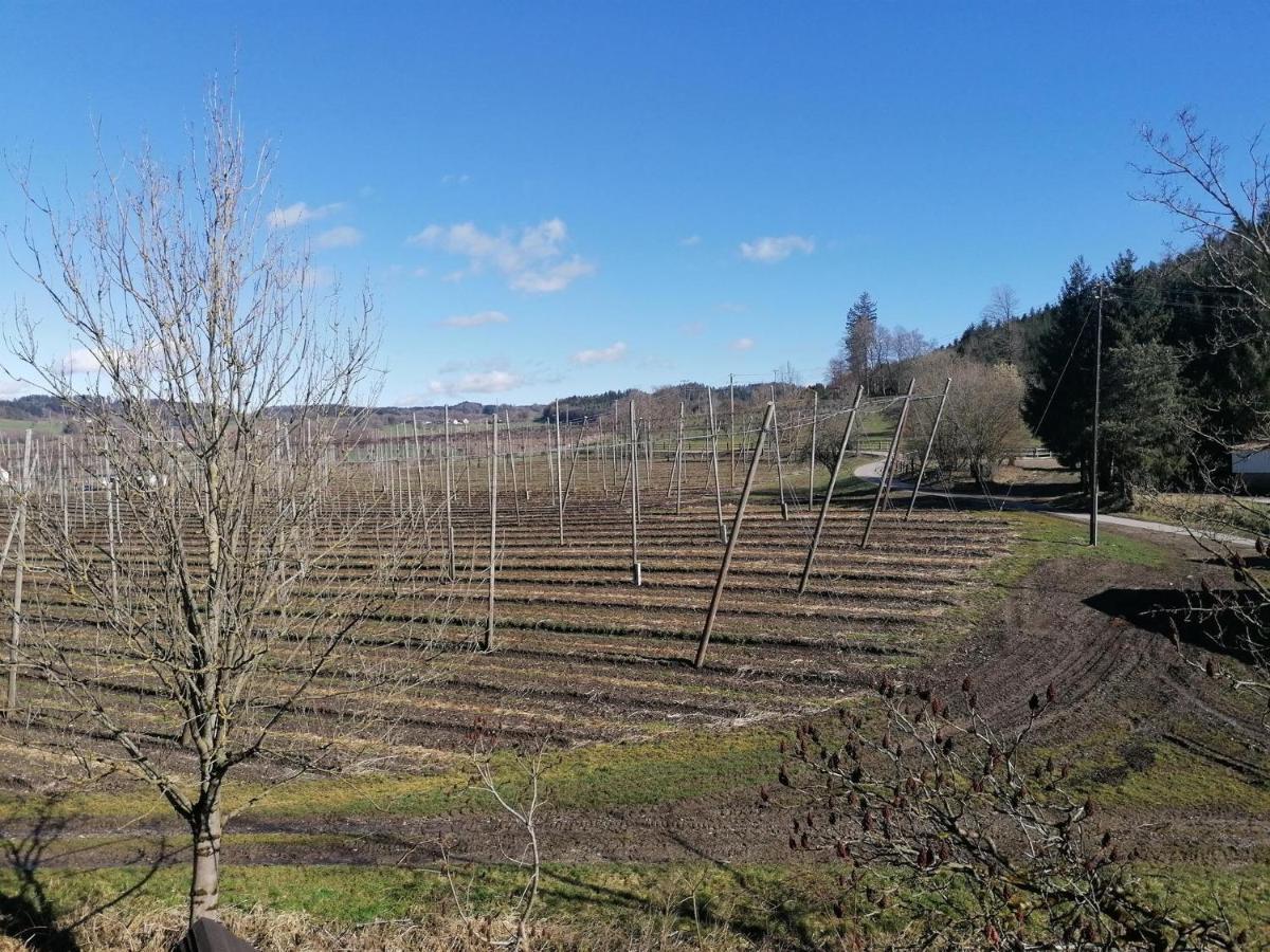 Ferienhof Hopfgaertle Mueller Bodnegg Quarto foto