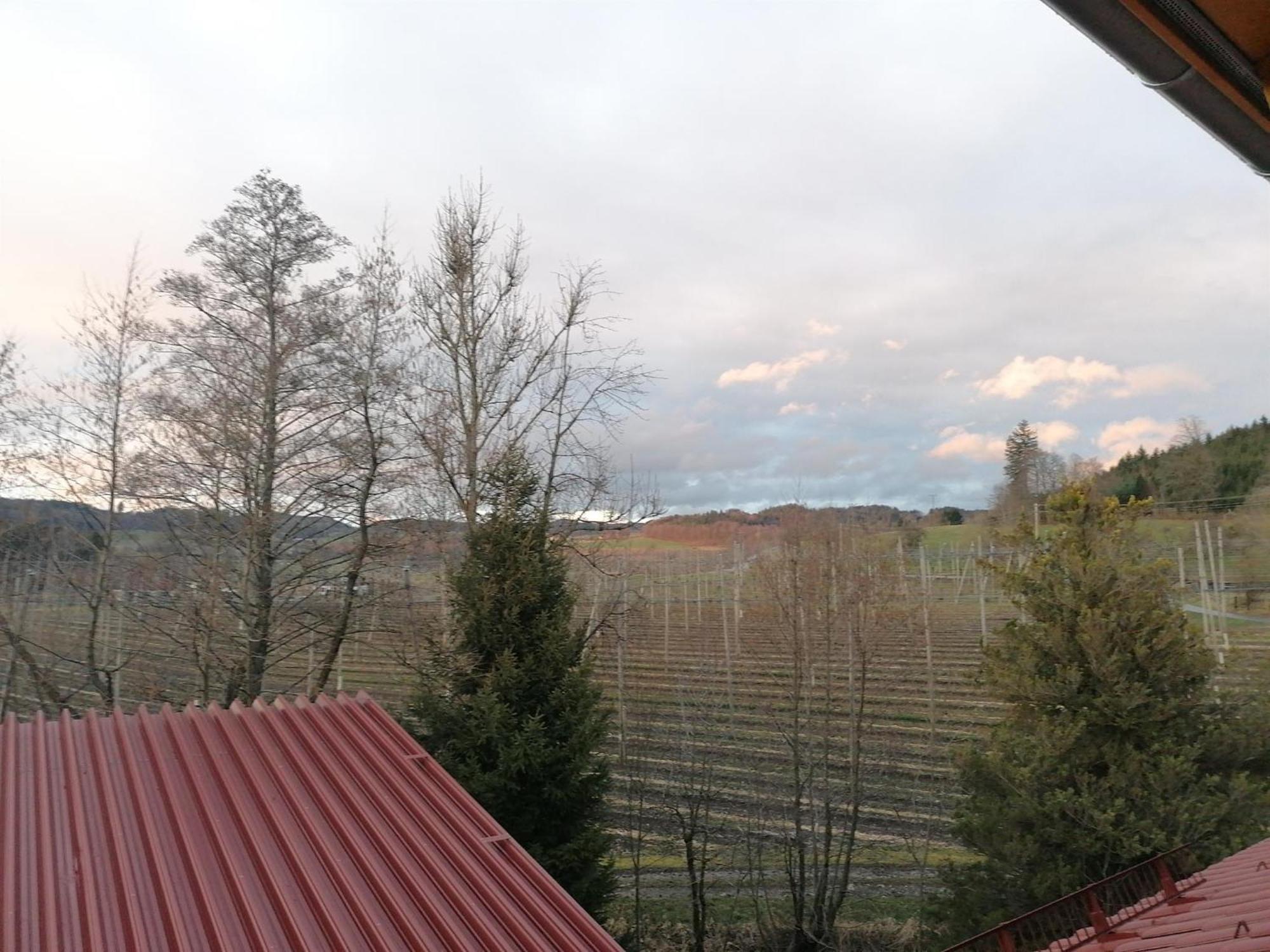 Ferienhof Hopfgaertle Mueller Bodnegg Quarto foto